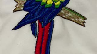 Macaw embroidery project