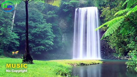 Relaxing Music | Sleeping, Meditation, Stress Relief | [1697] ⭐️