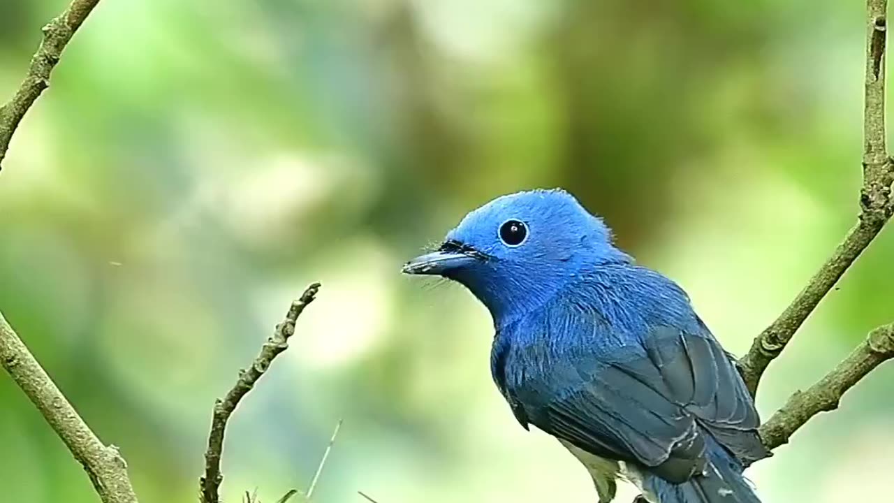 ❤️😍❤️😍