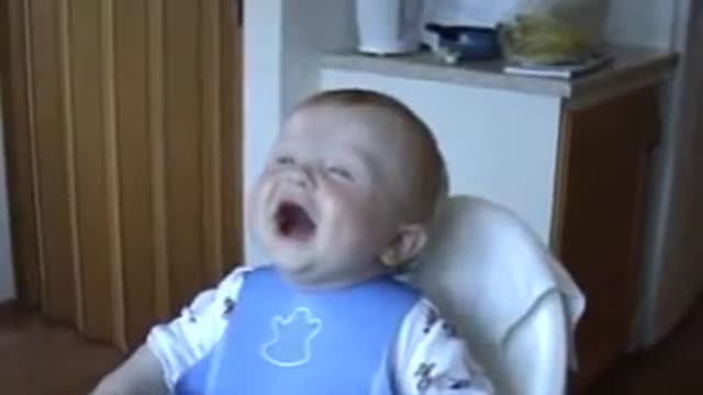 Baby Laughing Hysterically