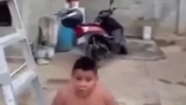 Chancho Ninja Warrior