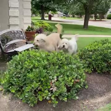 She won’t leave me alone