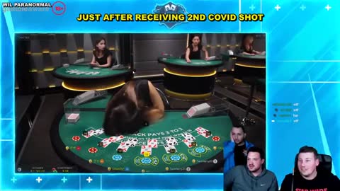 BILL GATES GONE INTO HIDING AS VACCINE DEATHS SKYROCKET - BOOSTERS COMING IN SEPTEMBER