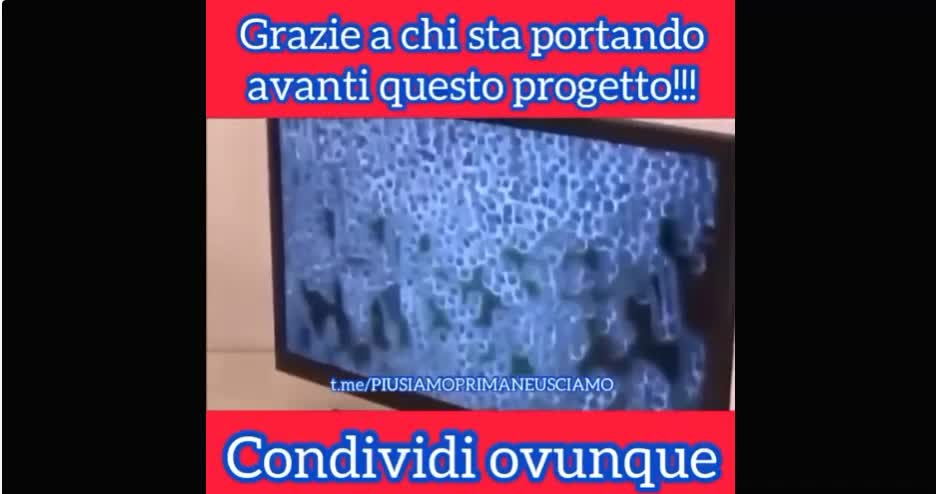 Microscopio a campo scuro vediamo la verità FERMATEVIIII !!!