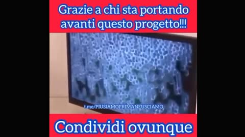 Microscopio a campo scuro vediamo la verità FERMATEVIIII !!!