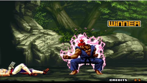 Vega vs Akuma