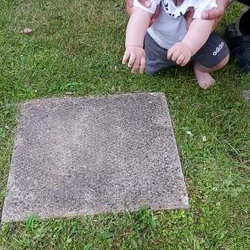 Baby playing with cat