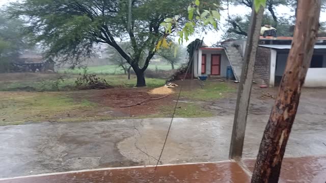 It rained heavily in my village today