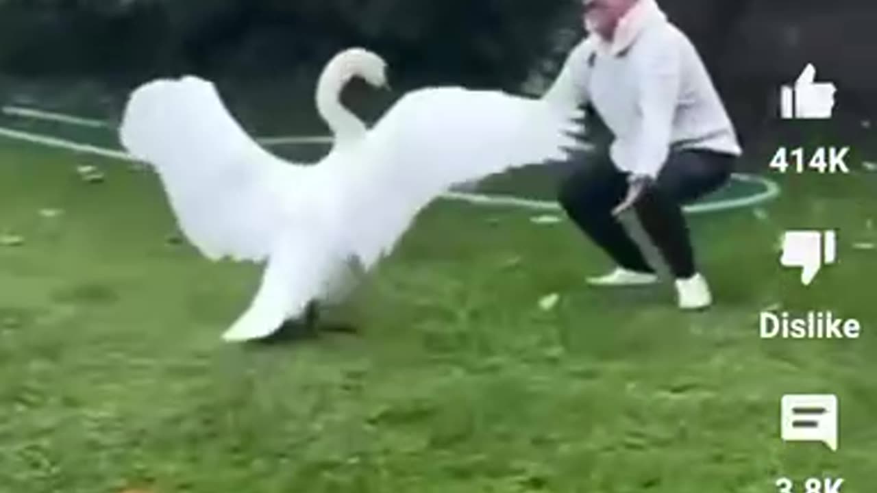 HIS KIND ACT LED TO SOMETHING NO ONE EXPECTED