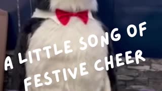 Merry Christmas - A little festive cheer - song