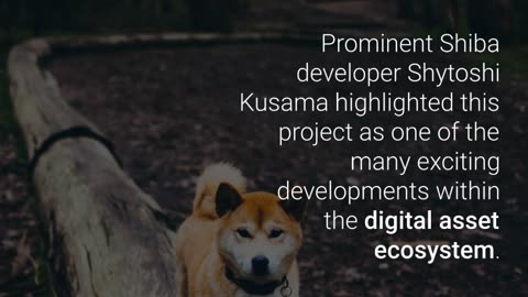 Shiba Inu (SHIB) Introduces Blockchain Identity Project