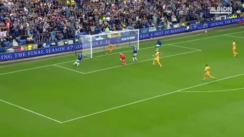 HIGHLIGHTS Everton v Brighton