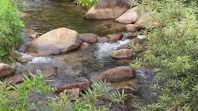 Nature video 🏞️🌄🌼❇️