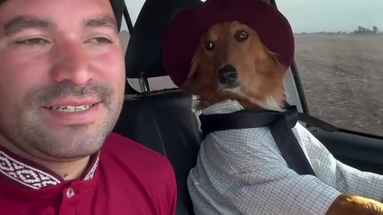 The best designated driver you can find