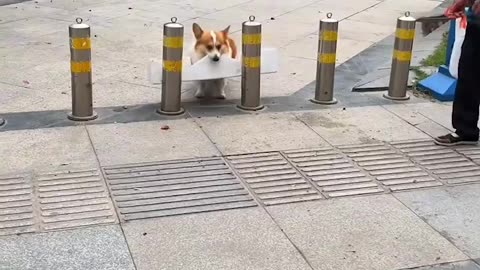 Determination gives you the resolve #shorts #shortvideo #video #virals #videoviral