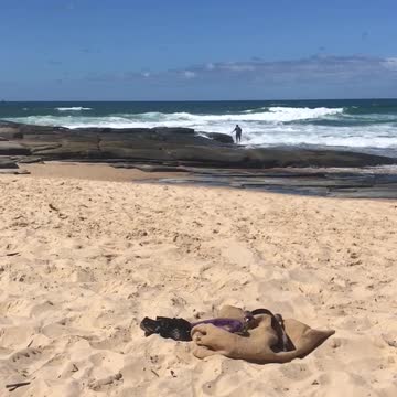 Guy fishing on rocks by ocean gets hit with wave and falls in