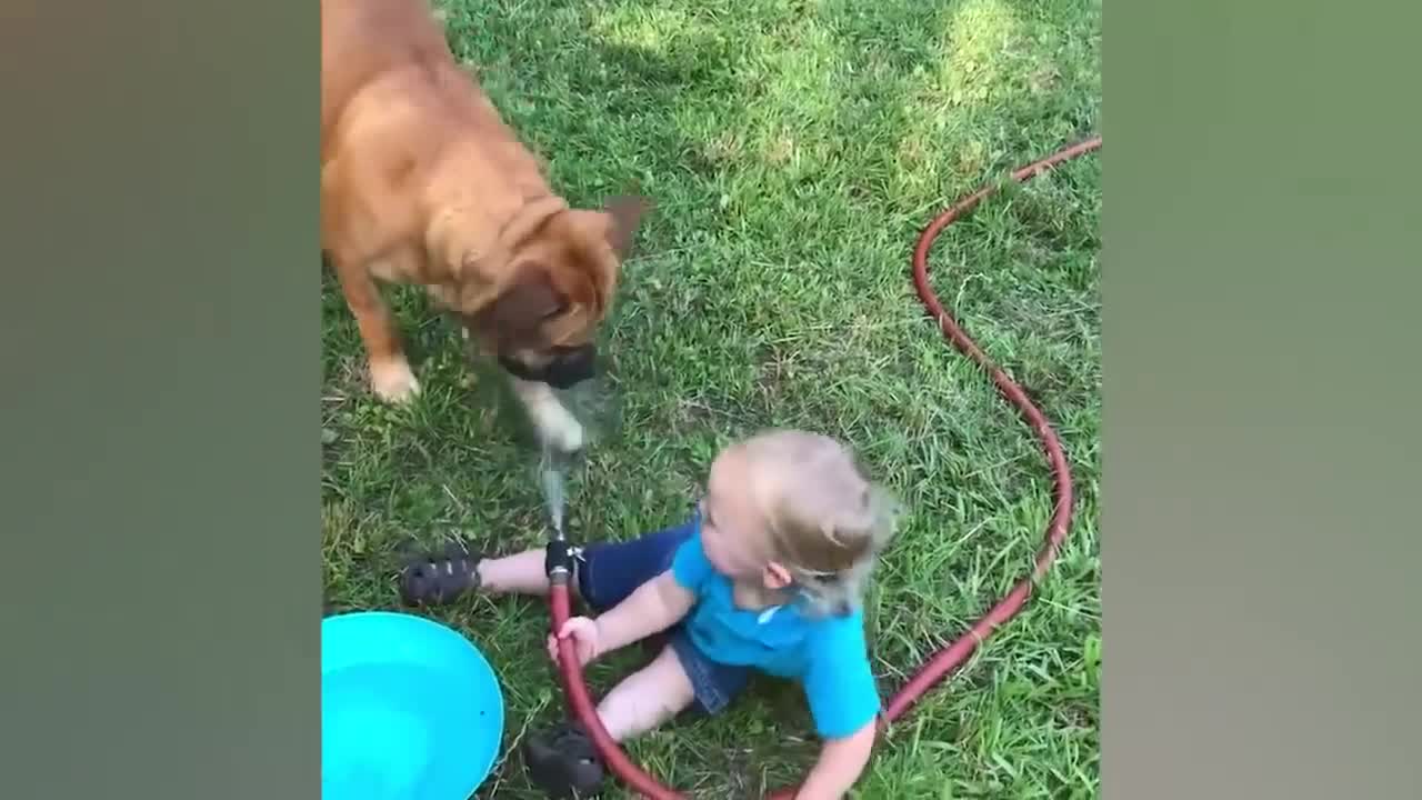 TRY NOT TO LAUGH CHALLENGE - Babies Playing Water In The Pool