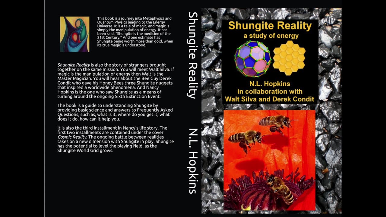 Cosmic Reality & Shungite P1 w/ Nancy Hopkins