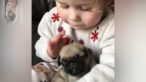 The little master is caressing the dog