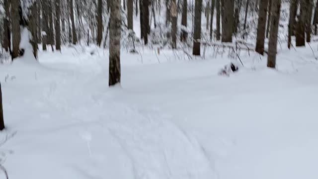 Down down down