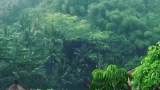 Rain in Bali