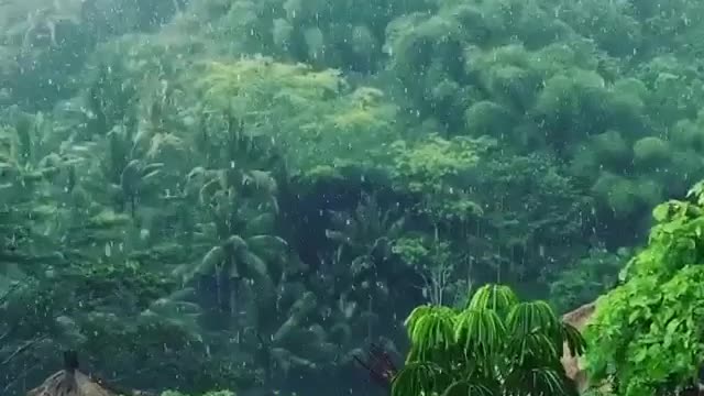 Rain in Bali