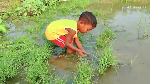 Amazing Hand Fishing Video _ Traditional Boy Catching Fish By Hand in Pond Water (Part-2)