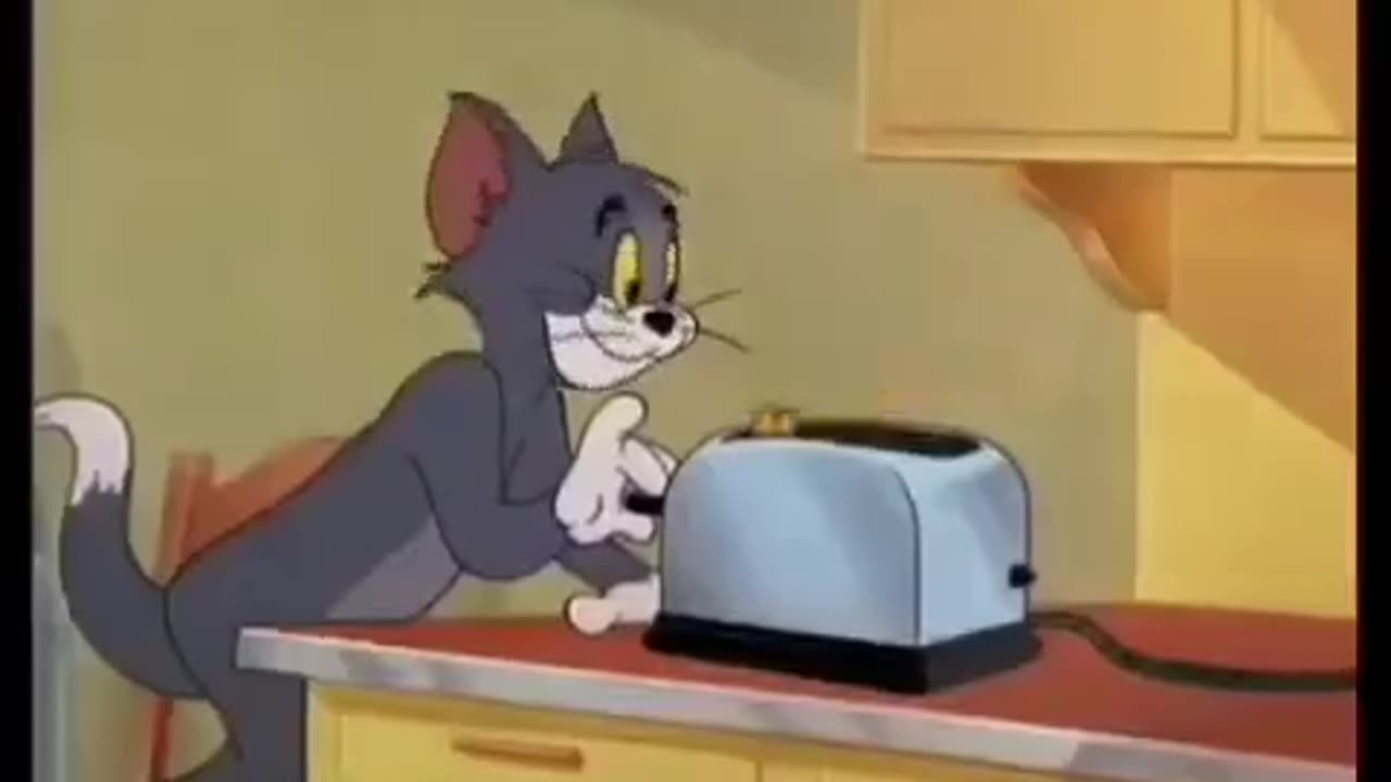 cat and mouse funny video