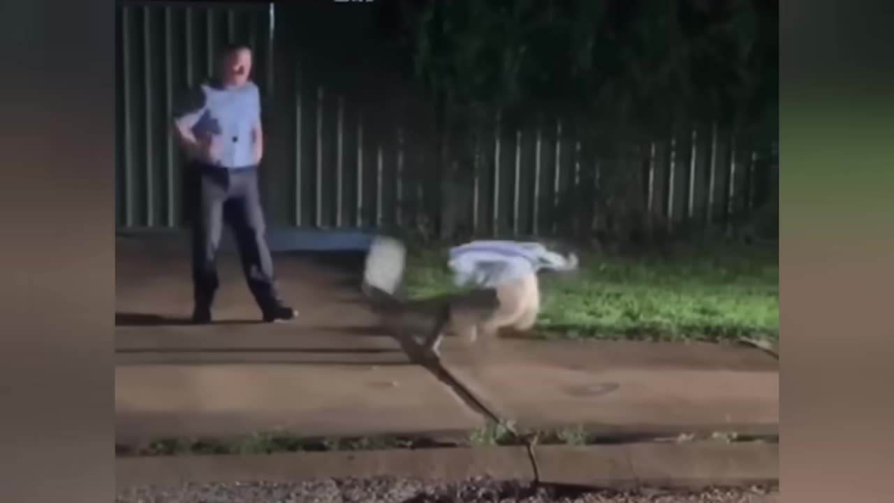 Try not to laugh