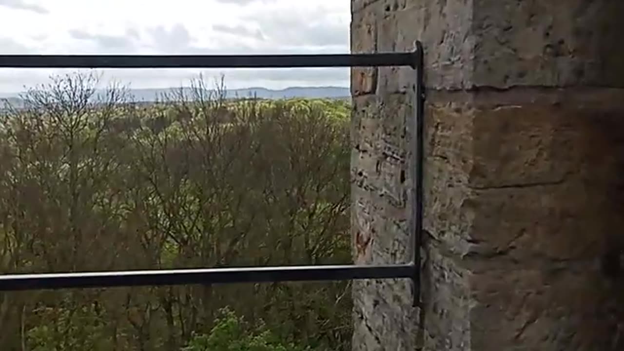 Auf dem Turm Burg Wohldenberg mit Blick zum Brocken