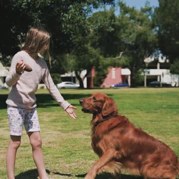 Young Girl Playing With A Dog.