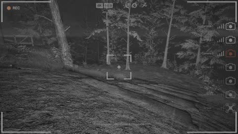 BIGFOOT