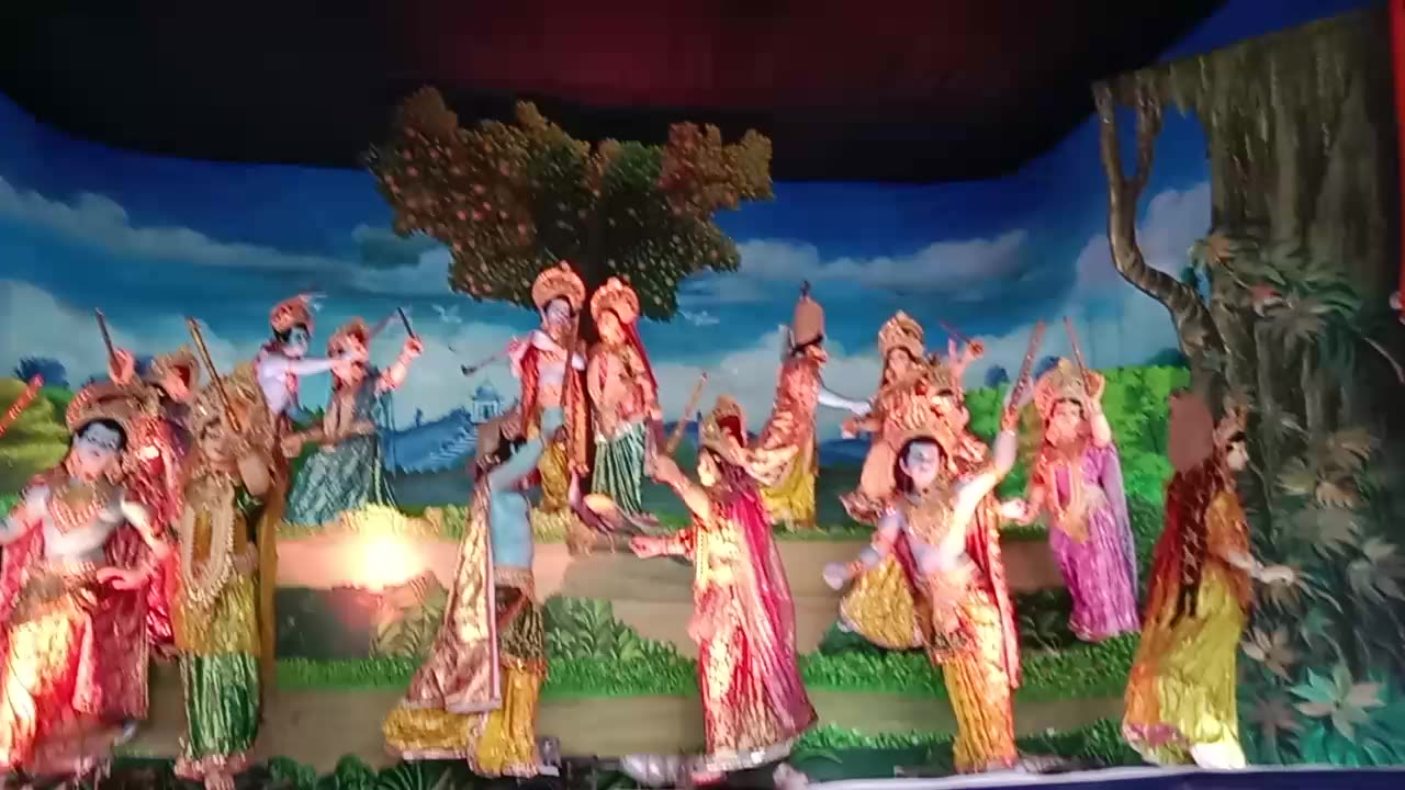 Video of janmashtmi