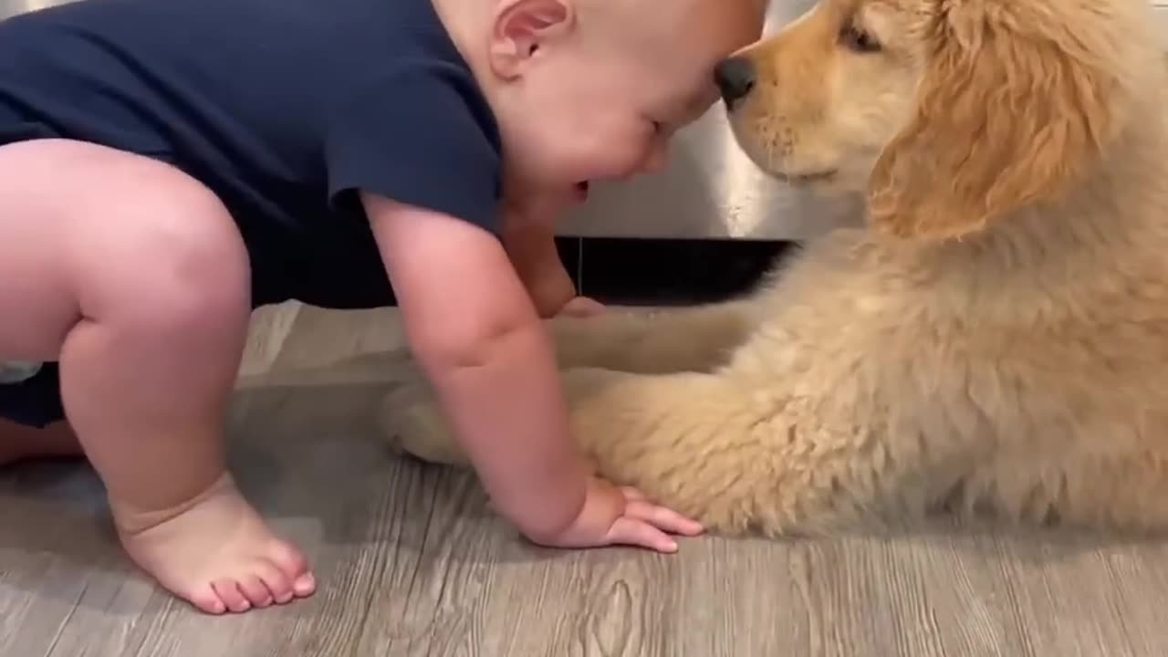 Baby Plays With Puppy!!! #shorts #trending #viral