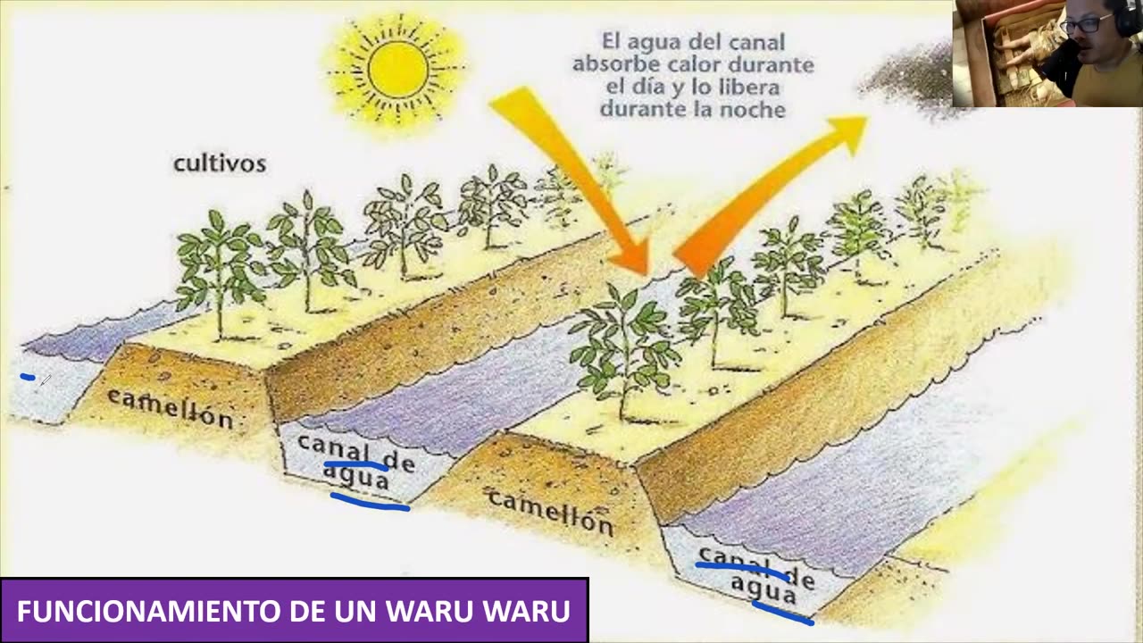 ANUAL ADUNI 2022 | Semana 06 | Historia | Economía