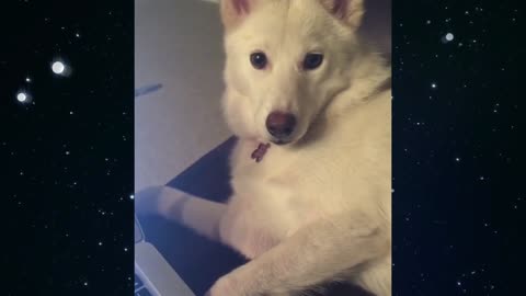 You can't touch the laptop