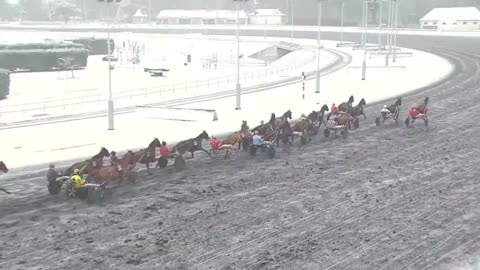 QUINTE PLUS Colonel - Prix du Forez - Groupe III – Vincennes – 16/01/21