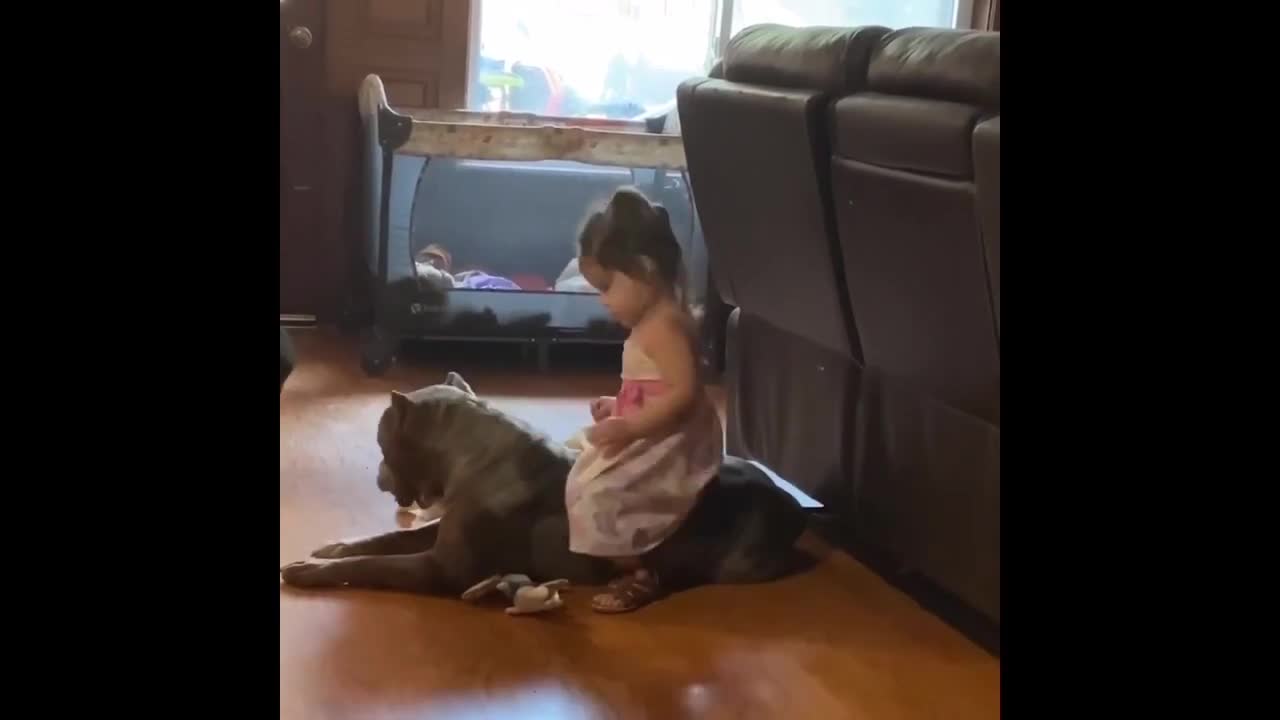 Abusive Child Attacks Pitbull And This Happened [Good Dog- Bad Owner-]