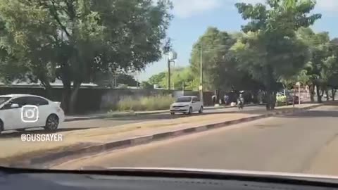 Nosso Amado Deputado federal Gustavo Gayer manda a Visão.