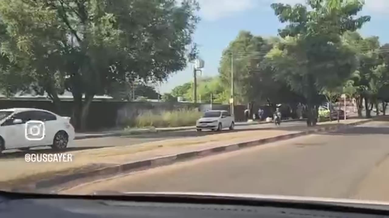 Nosso Amado Deputado federal Gustavo Gayer manda a Visão.