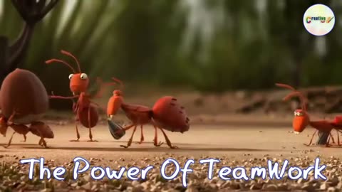 Teamwork and Leadership