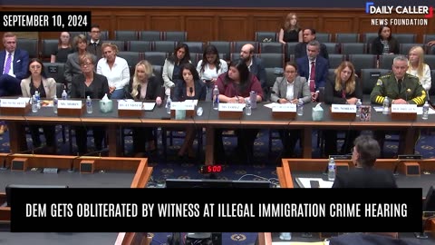 Witness OBLITERATES Democrat Over Illegal Immigrant Crime