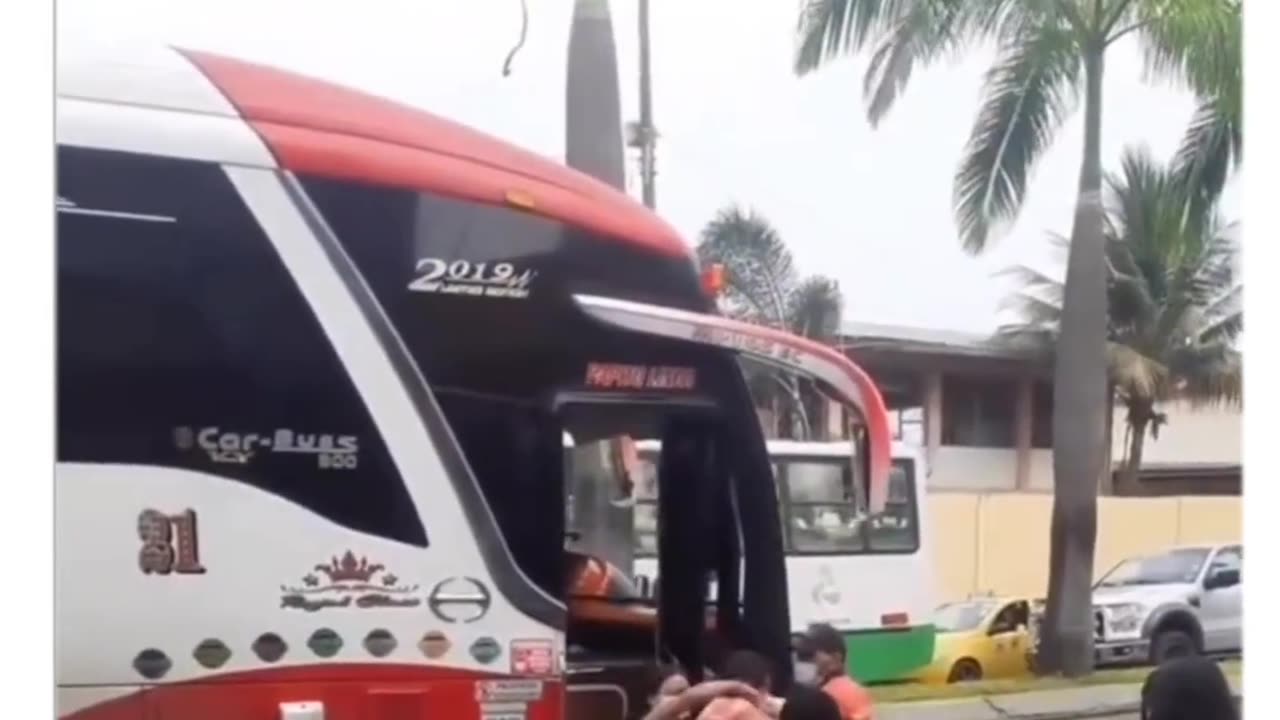 Bus ledy was prank 🤣🤣🤣🤣