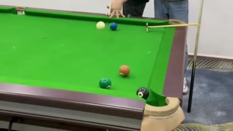 Funny Video Billiards