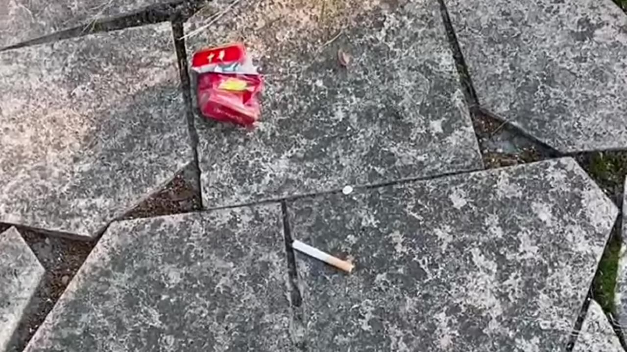 FUNNY VIDEOS