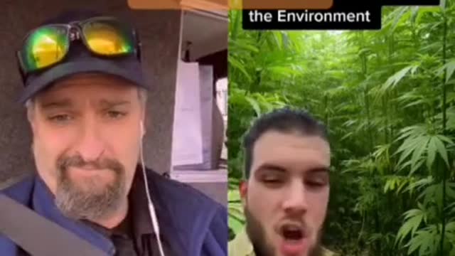 Hemp absorbs Carbon | Why powers that be don't grow Hemp