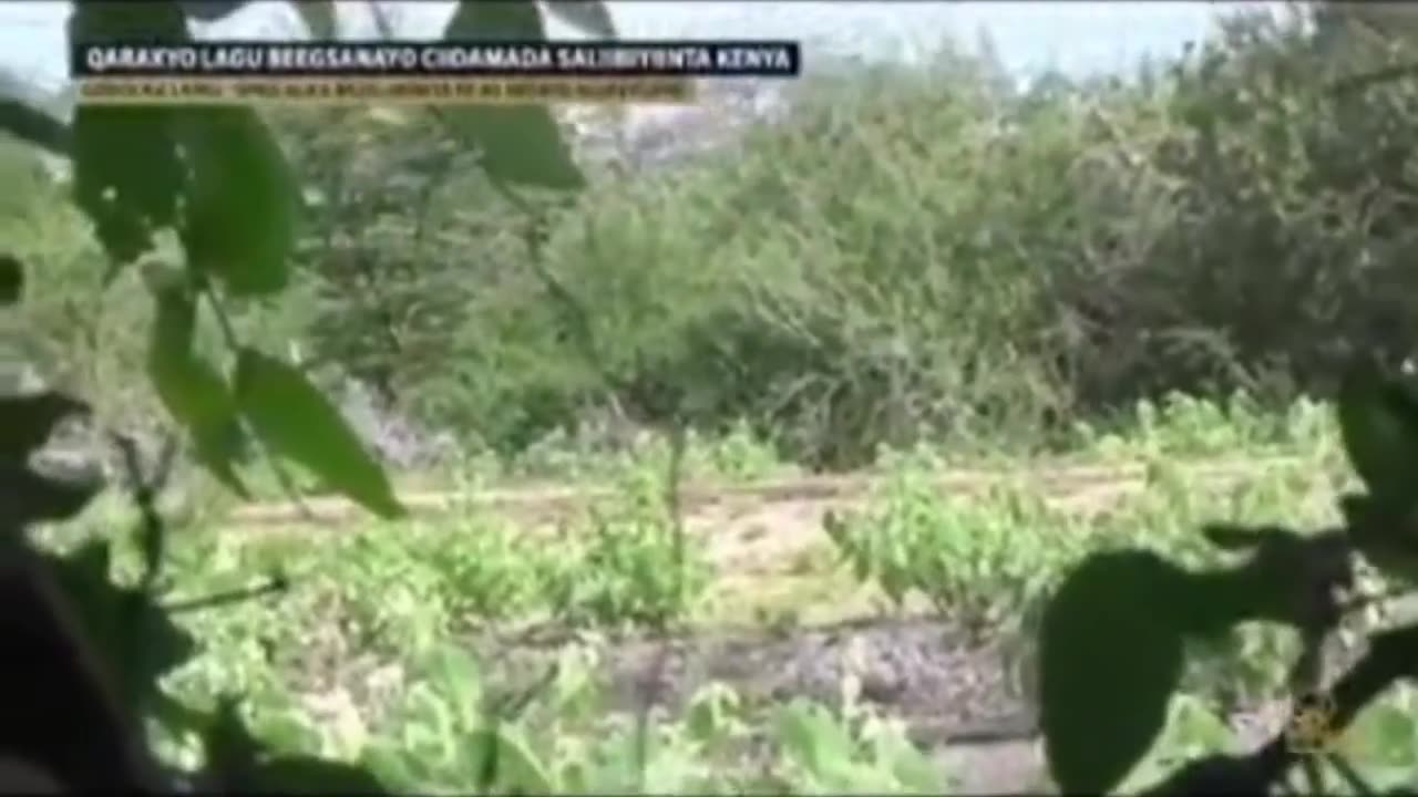 π₯πΈπ΄ Somalia | Al-Shabab Ambushes Pickup Truck with IED | RCF