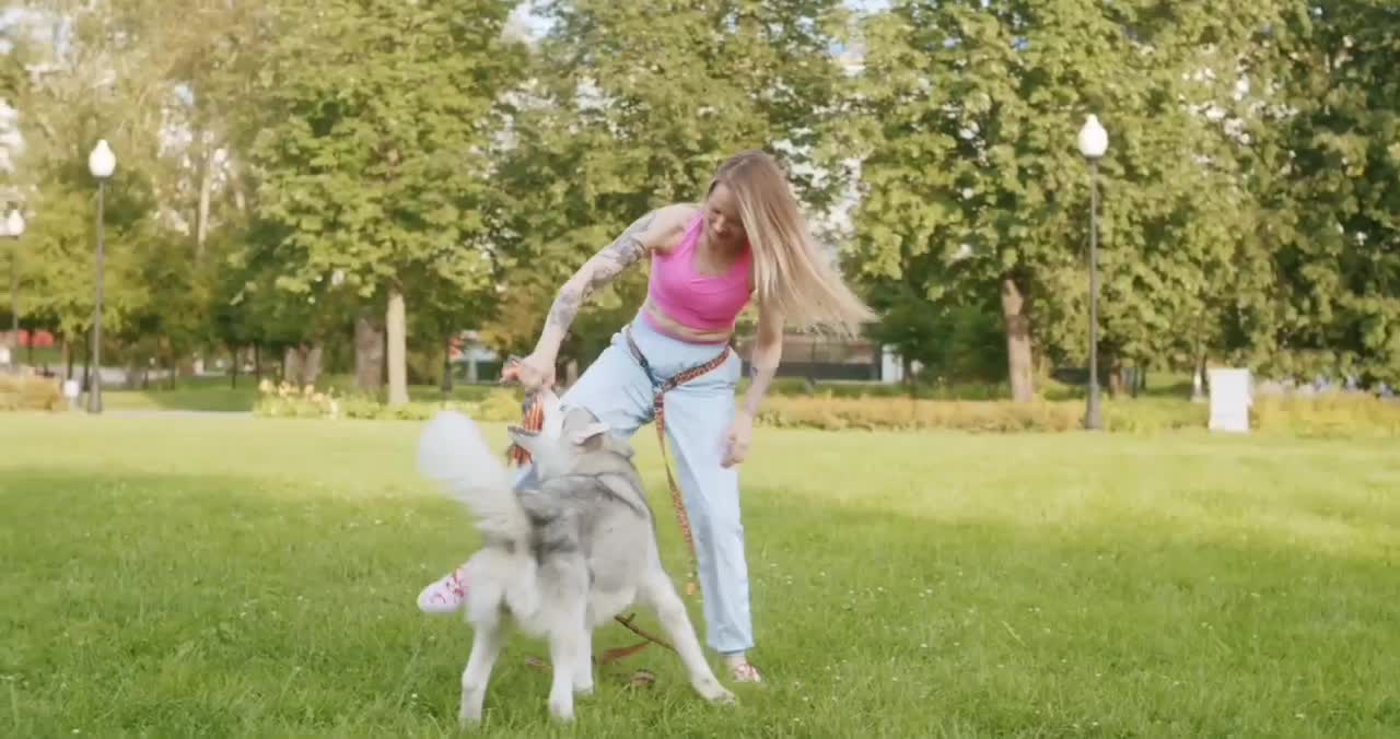 Dog sets frisbee record for longest catch during Canadian