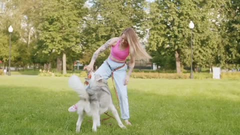 Dog sets frisbee record for longest catch during Canadian