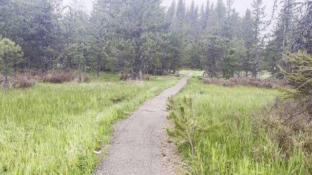 Little Crater Lake Trailhead – Timothy Lake – Mount Hood – Oregon – 4K